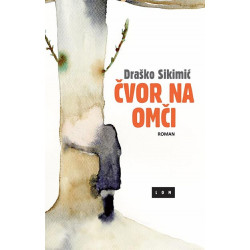 Čvor na omči: roman